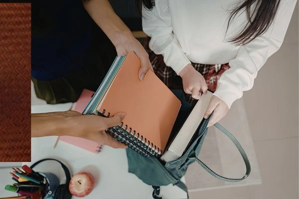 Powerful Reasons Organizer Bags Simplify Everyday Life